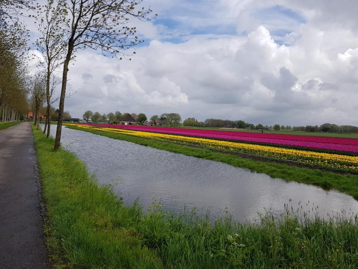 B & B De Tocht Berkhout Eksteriør bilde